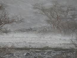 Rainy, cold weather expected