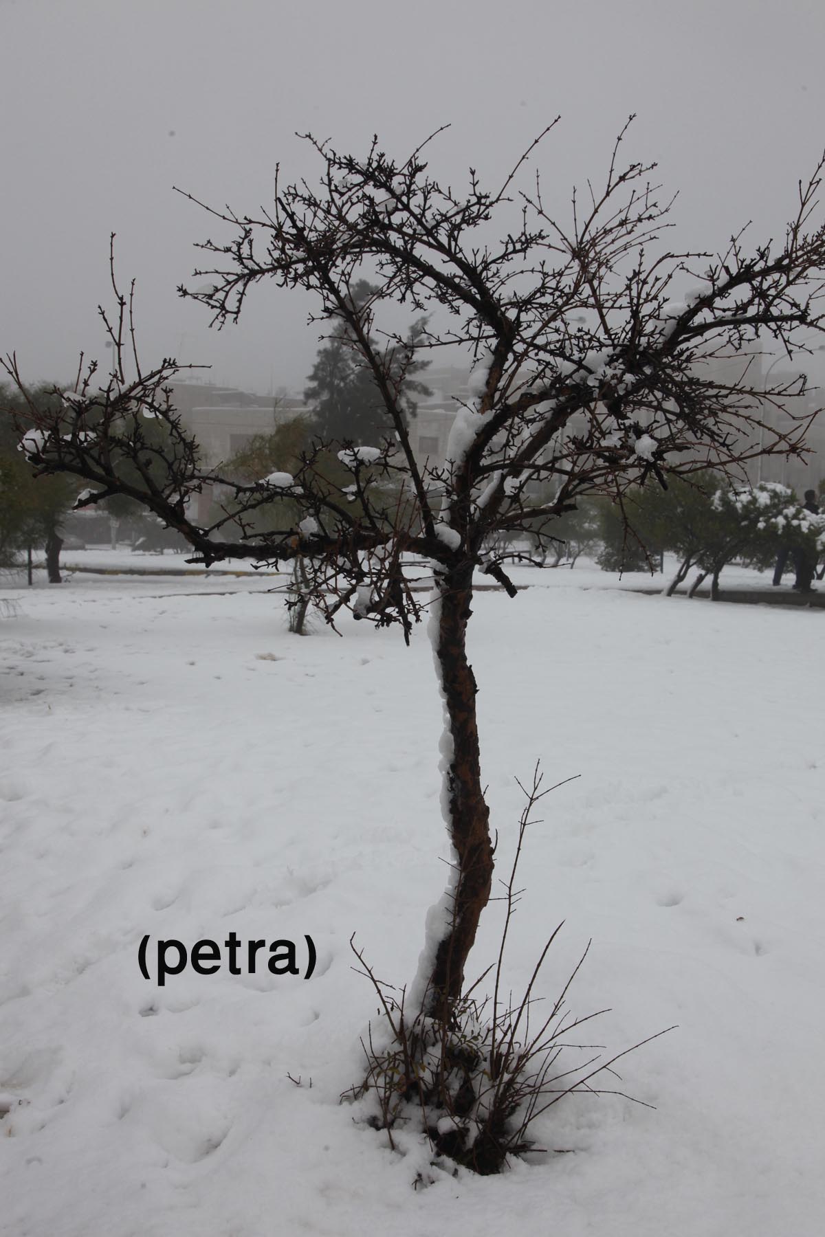 Blizzard to taper off, weather to remain chilly