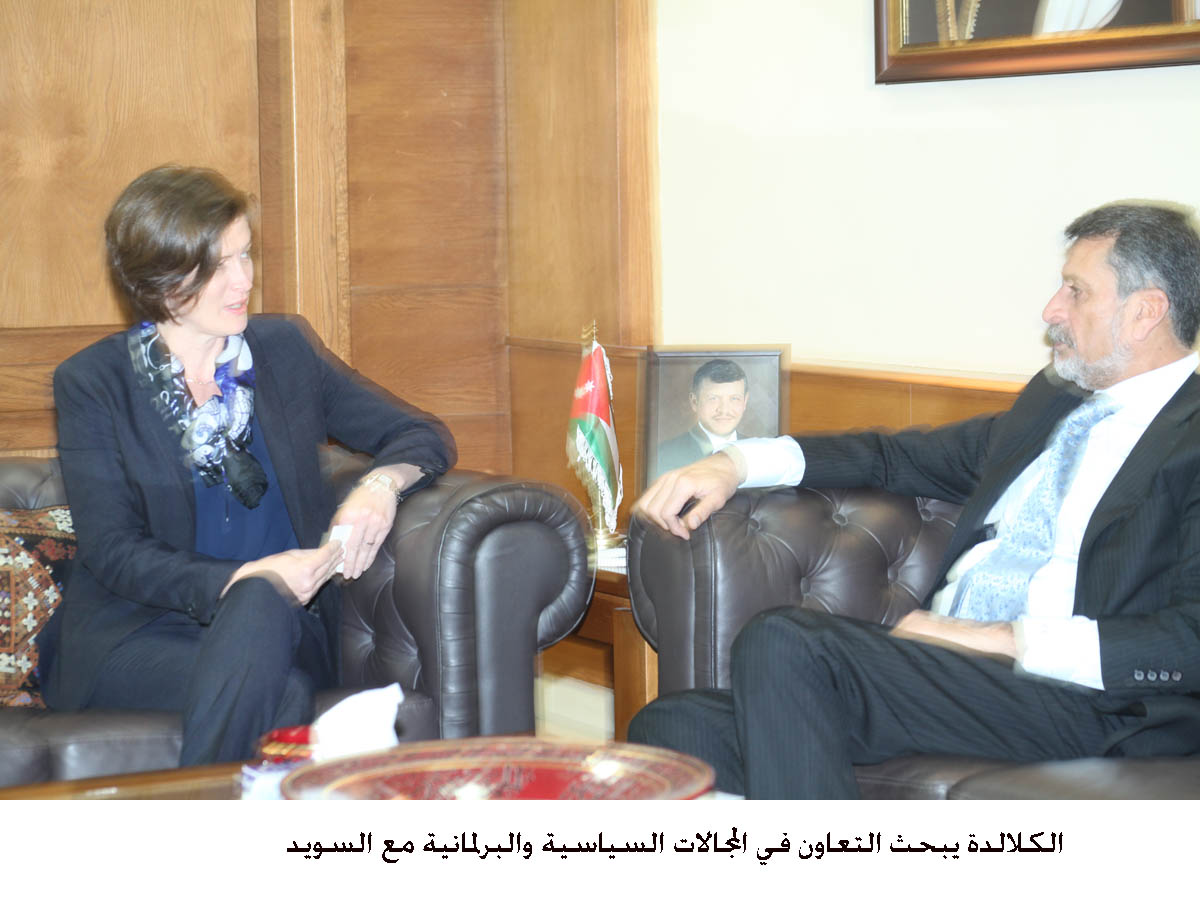 Minister of political and parliamentary affairs meets Swedish official