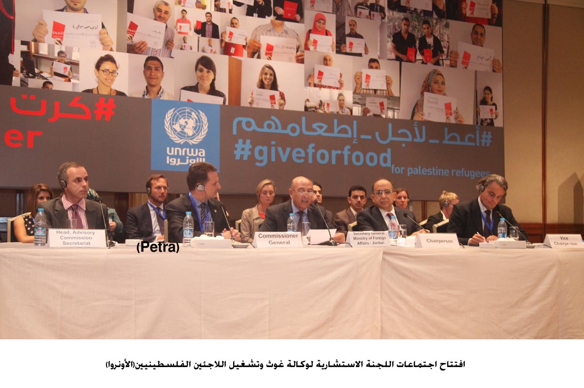 FM: Jordan will not spare an effort to achieve the two-state solution