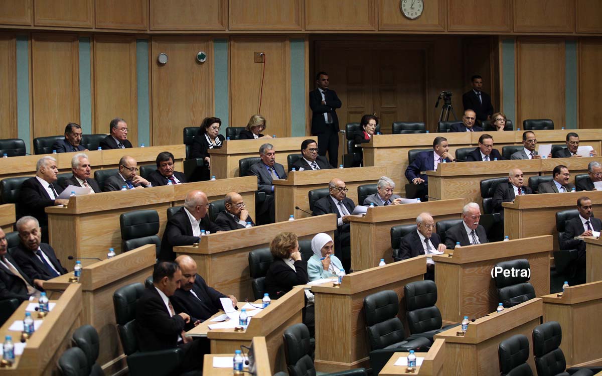 Senate endorses amended renewable energy draft