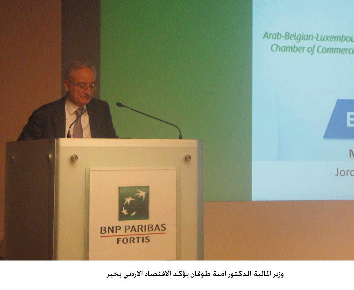 Jordan's economy is fine, says finance Minister