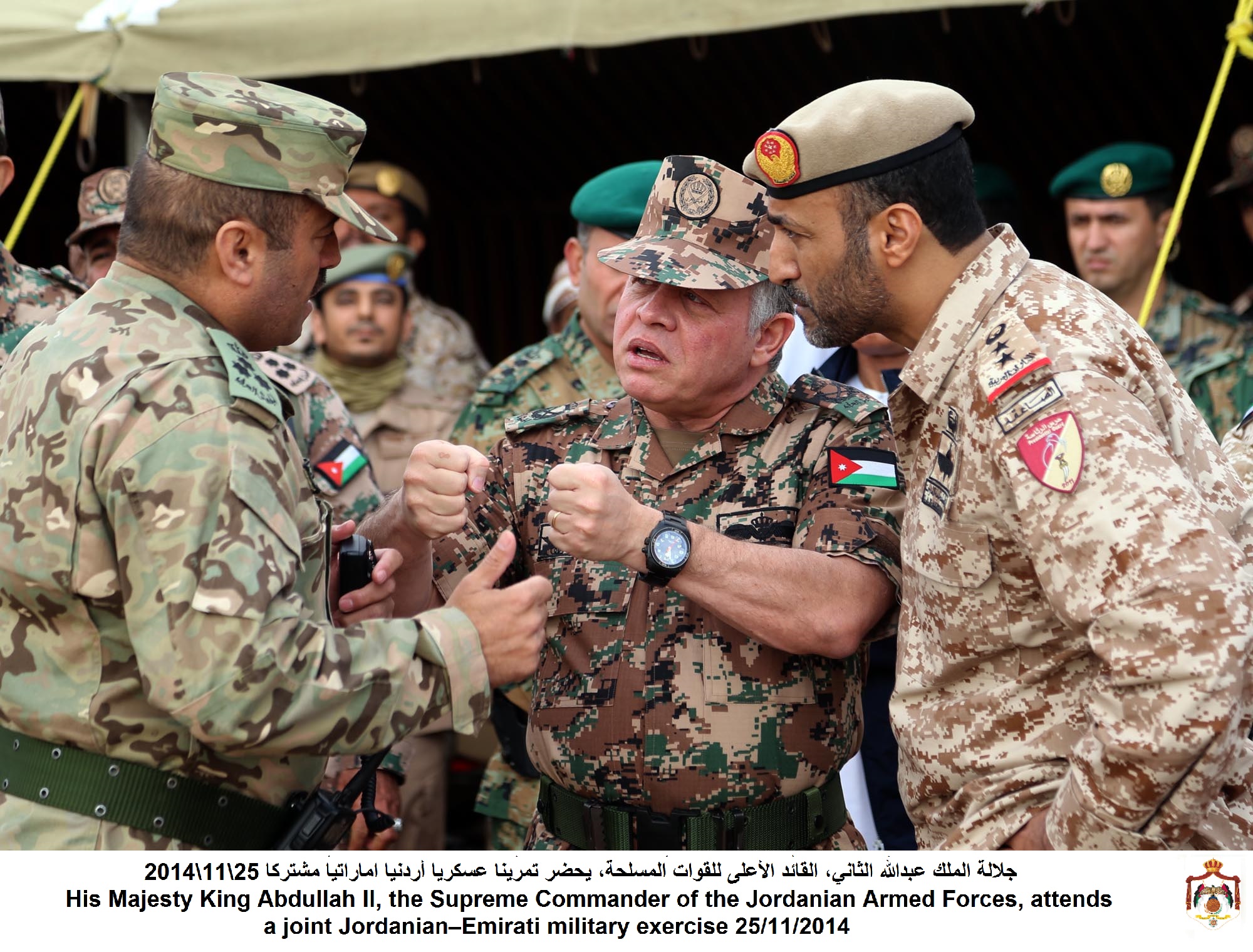 King attends joint Jordanian-UAE military drill