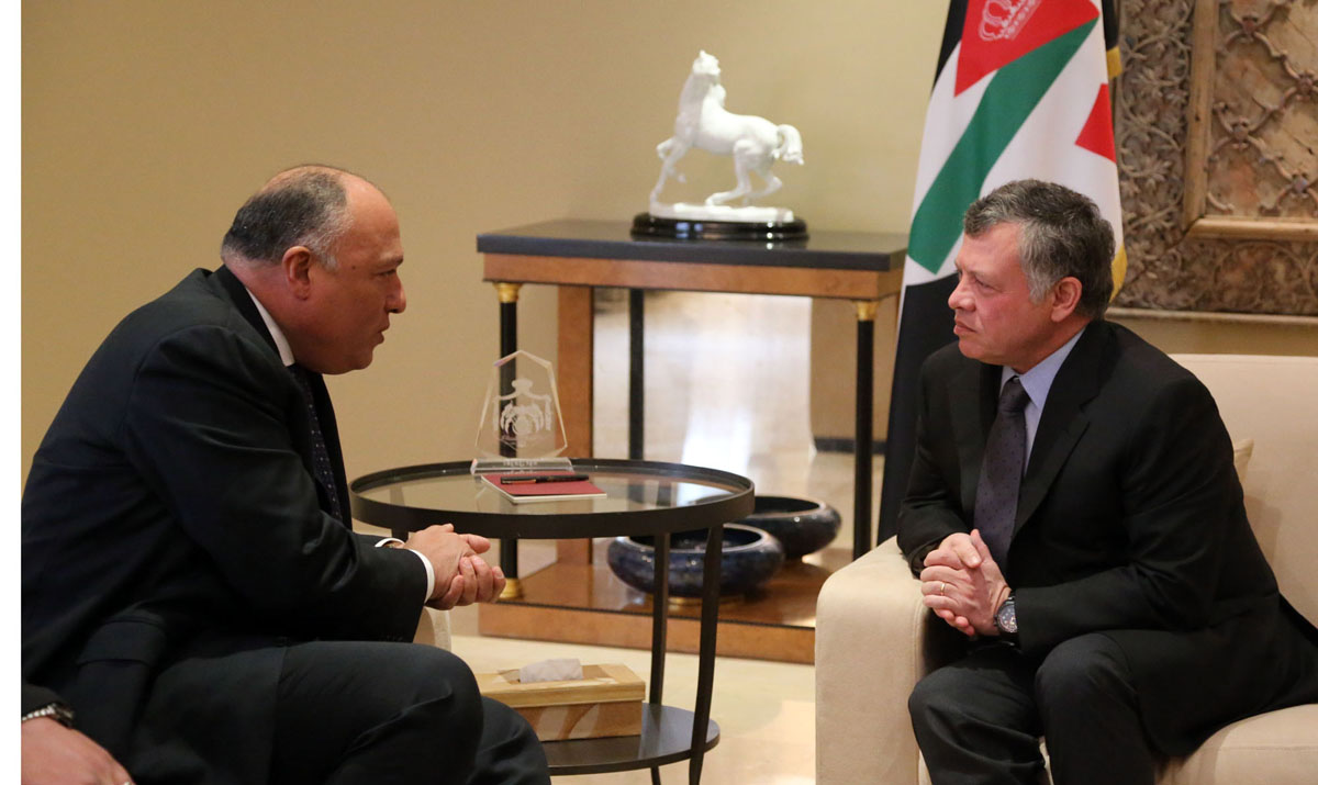 King meets Egyptian foreign minister