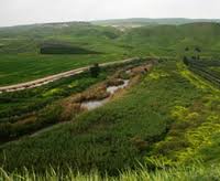 No bird flu cases in Jordan Valley- ministry