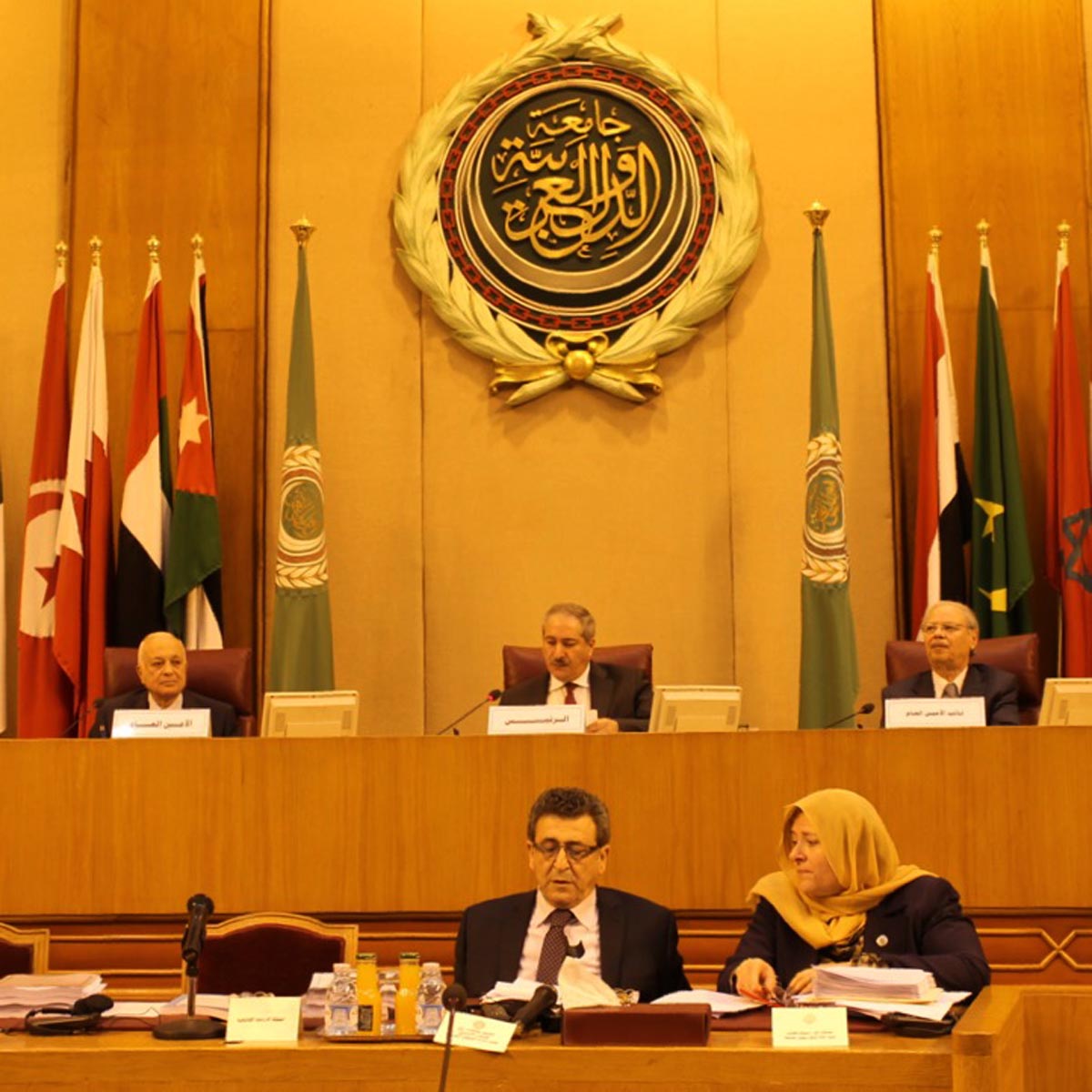 Jordan presides over 143rd session of the Arab League Council's meeting