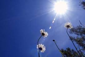 Relatively cold weather forecast today, mild until Wednesday