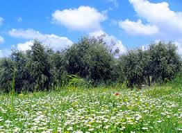 Fair weather expected over next three days