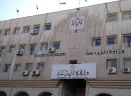 Kingdom exports 900 tonnes of vegetables, fruits per day to Gulf states