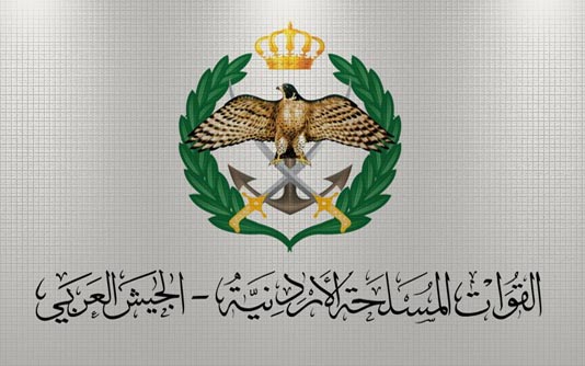 Army grants treatment-entry to sick Syrian child