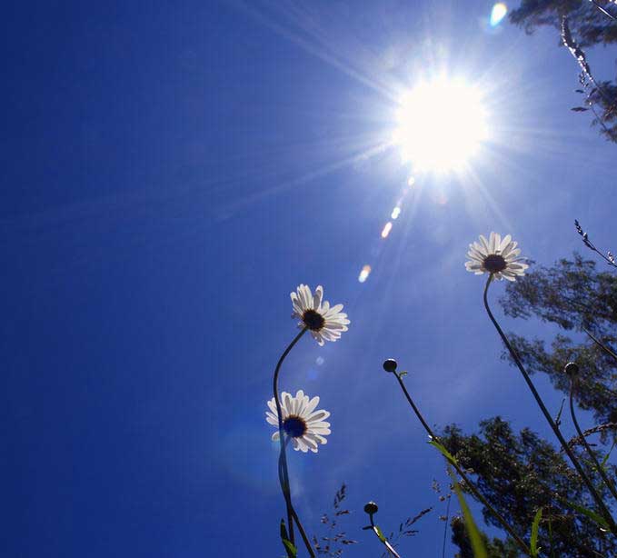 Moderate weather conditions forecast till Monday