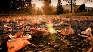 Cold weather forecast over weekend