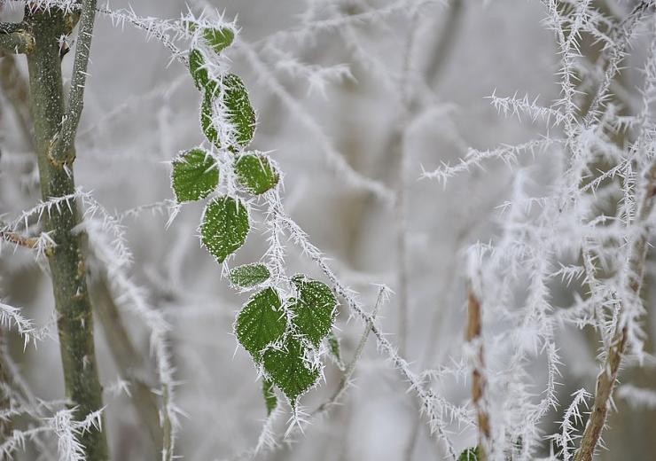 Bitterly cold conditions with frost formation to continue over weekend