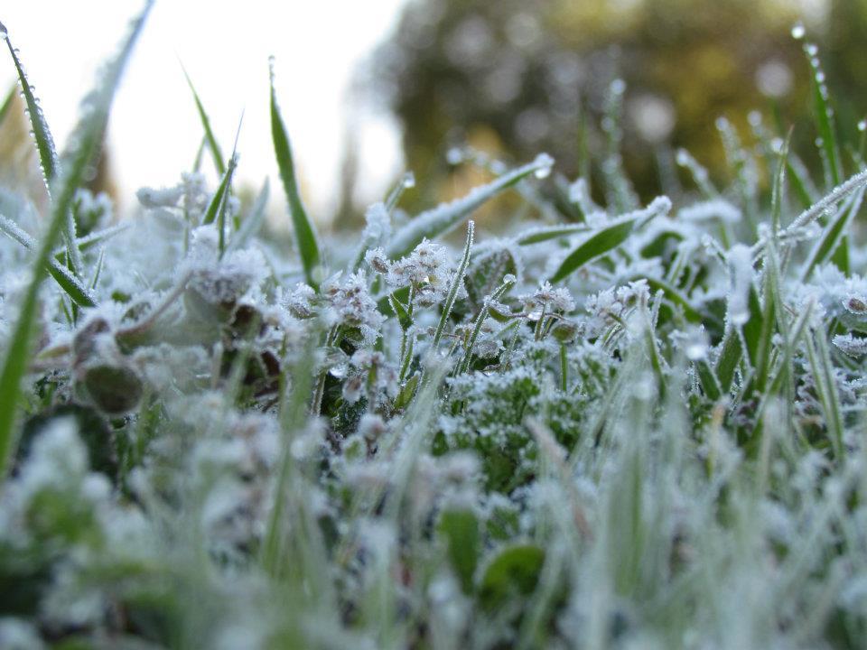 Cold weather expected until Monday