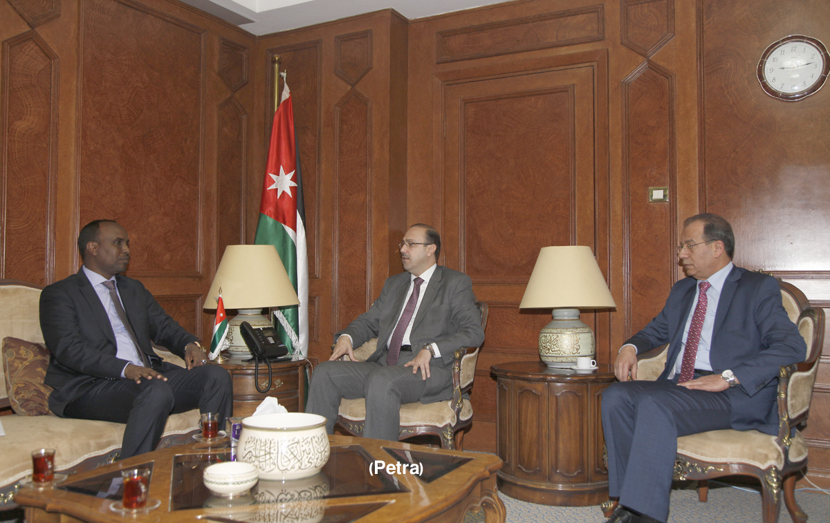 State minister for media affairs meets IINA director