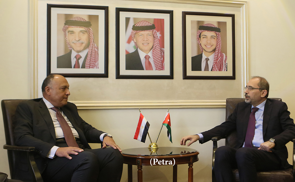 FM, Egyptian and Palestinian officials discuss peace process