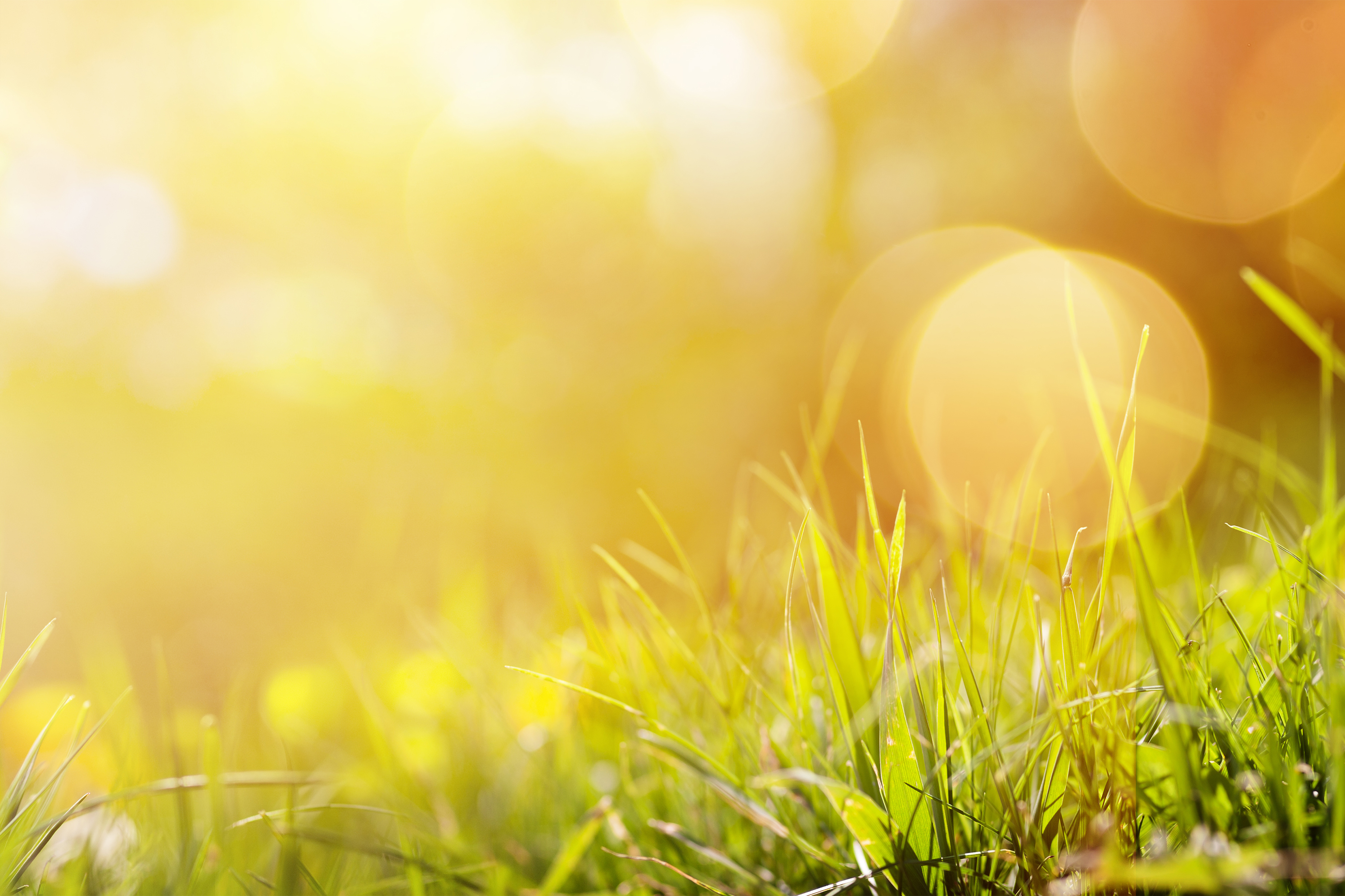 Hot weather forecast over weekend