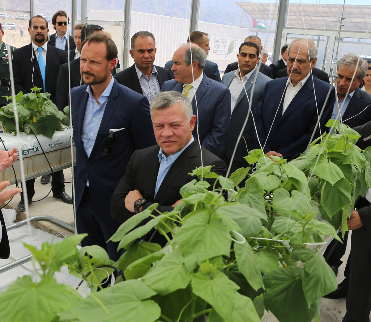 King, Norway Crown Prince open the 1st phase of the Sahara project