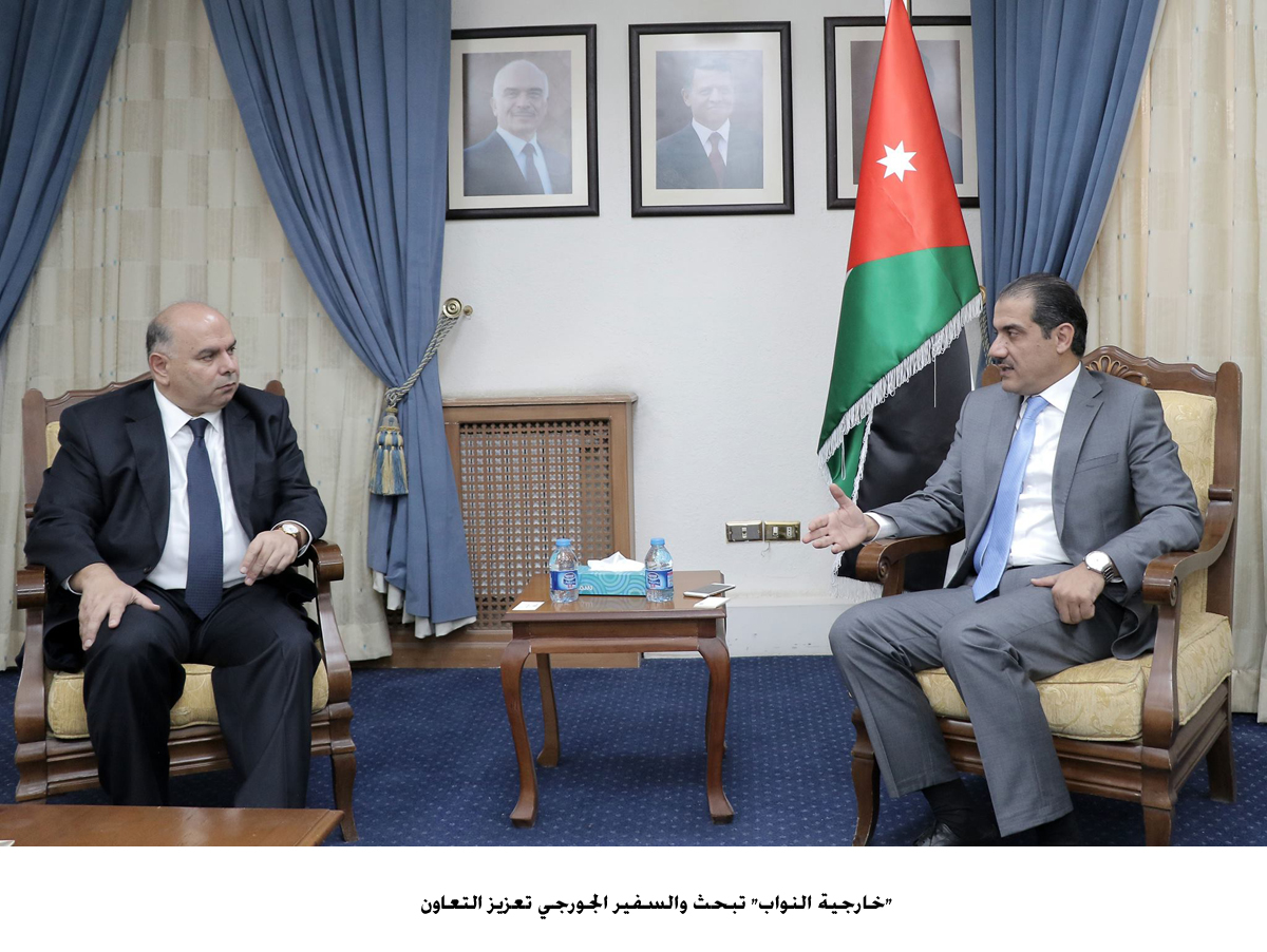 Lower House foreign Affairs Committee members meet Georgian ambassador