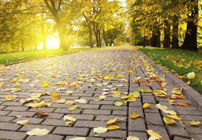 Autumn conditions prevail today