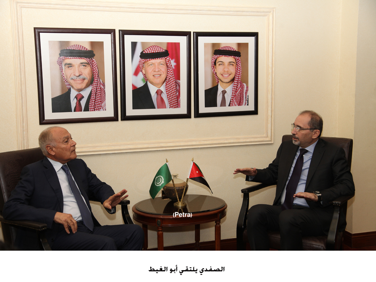 FM, Arab League chief discuss Mideast issues