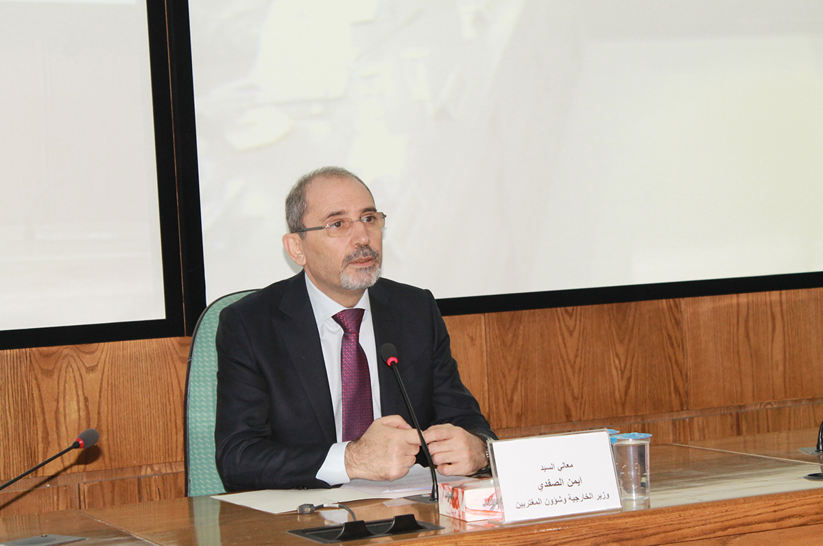 Safadi: Political solution needed to safeguard Syria's unity