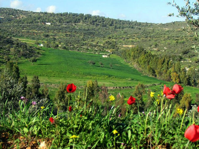 Spring-like conditions forecast for next two days