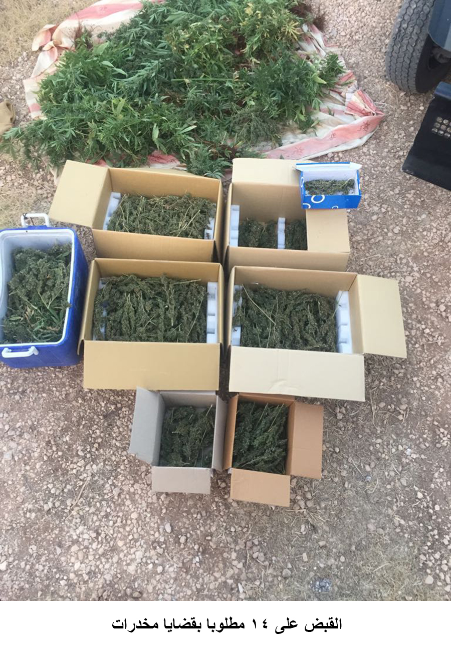 القبض على 14 مطلوبا بقضايا مخدرات <br>