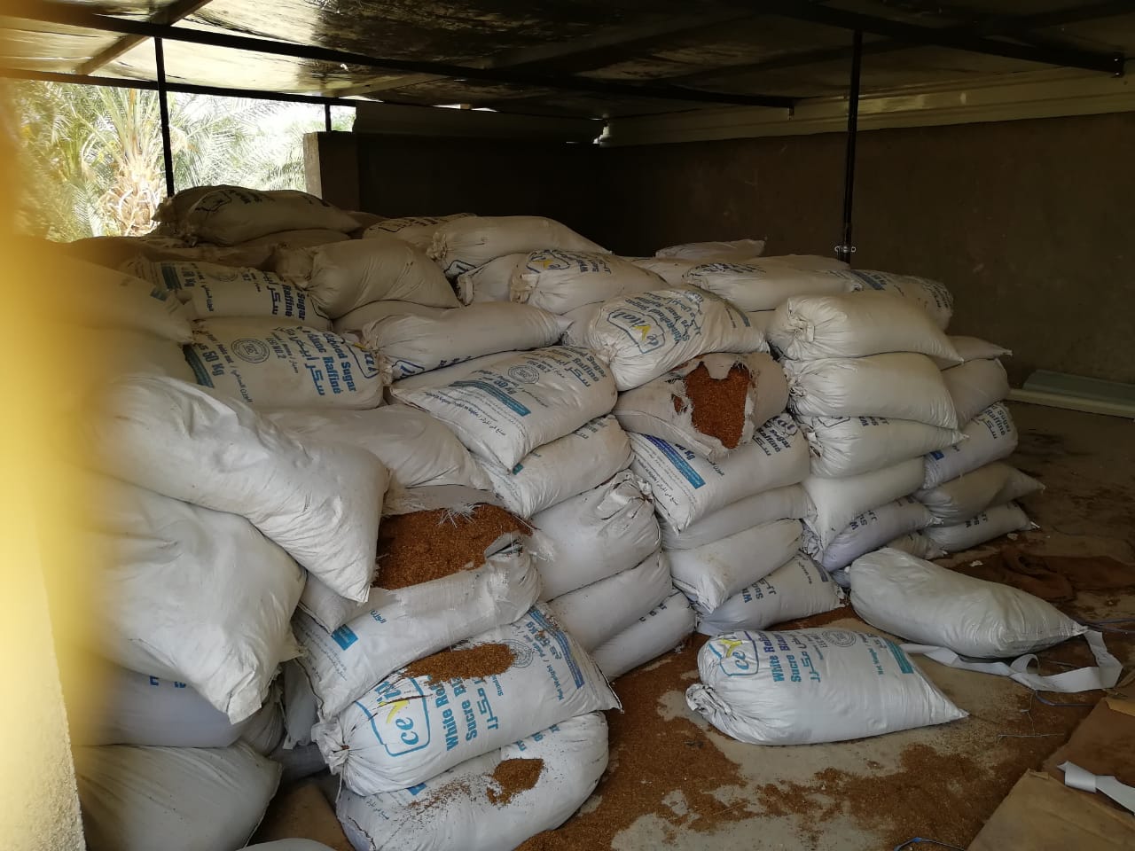 الجمارك تضبط مزرعة تبغ مساحتها أكثر من 200 دونم و 70 طنا من مستلزمات انتاج السجائر<br>