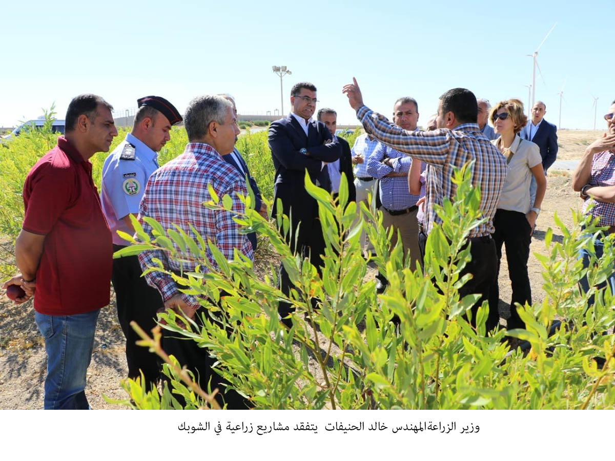 وزير الزراعة يتفقد مشاريع زراعية في الشوبك <br>