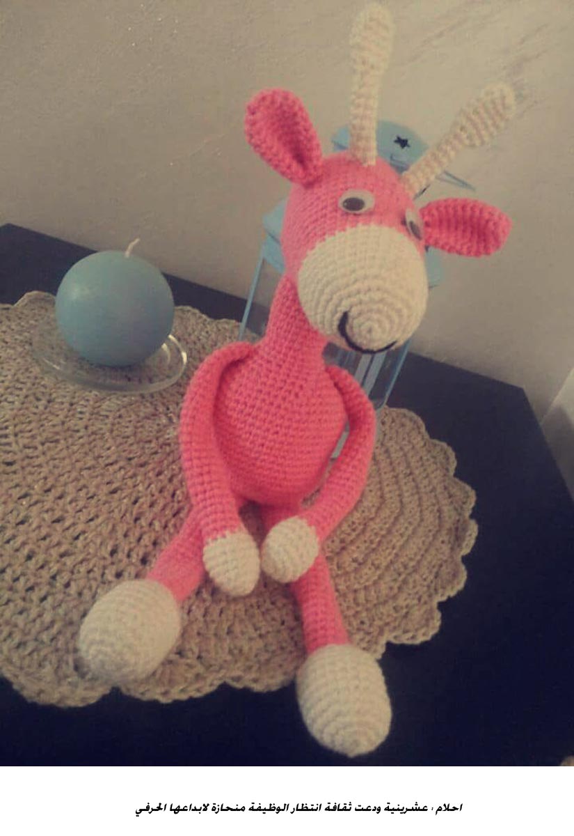 احلام : عشرينية ودعت ثقافة انتظار الوظيفة منحازة لابداعها الحرفي <br>