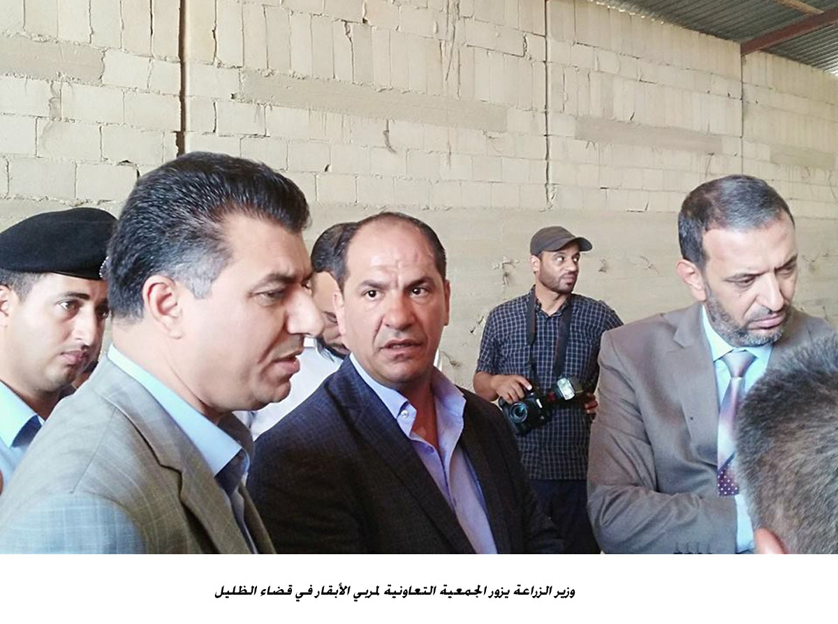 حنيفات: تمديد قرار وقف استيراد الأبقار حتى العام المقبل<br>