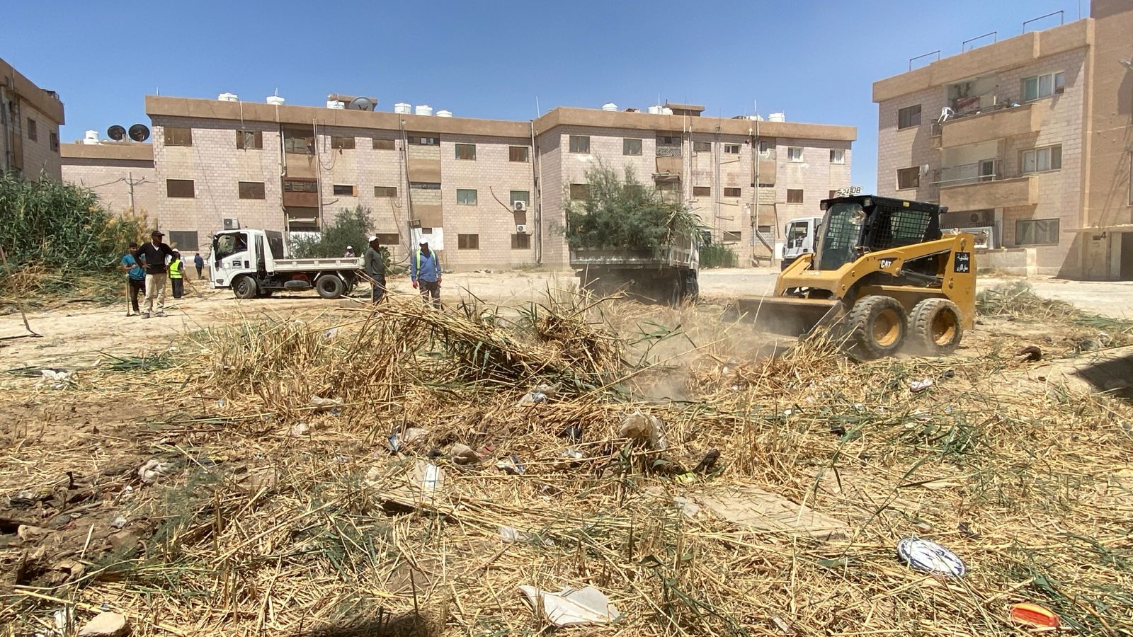 بلدية معان تطلق حملة لإزالة المشوهات البصرية وتعزيز المظهر الجمالي للمدينة