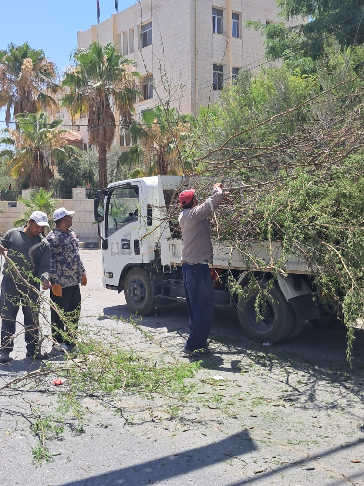 بلدية معان تطلق حملة لإزالة المشوهات البصرية وتعزيز المظهر الجمالي للمدينة