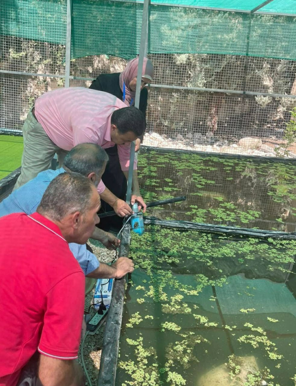زراعة بني كنانة تنفذ الجلسة الرابعة مدرسة الزراعة الذكية لنبات الأزولا
