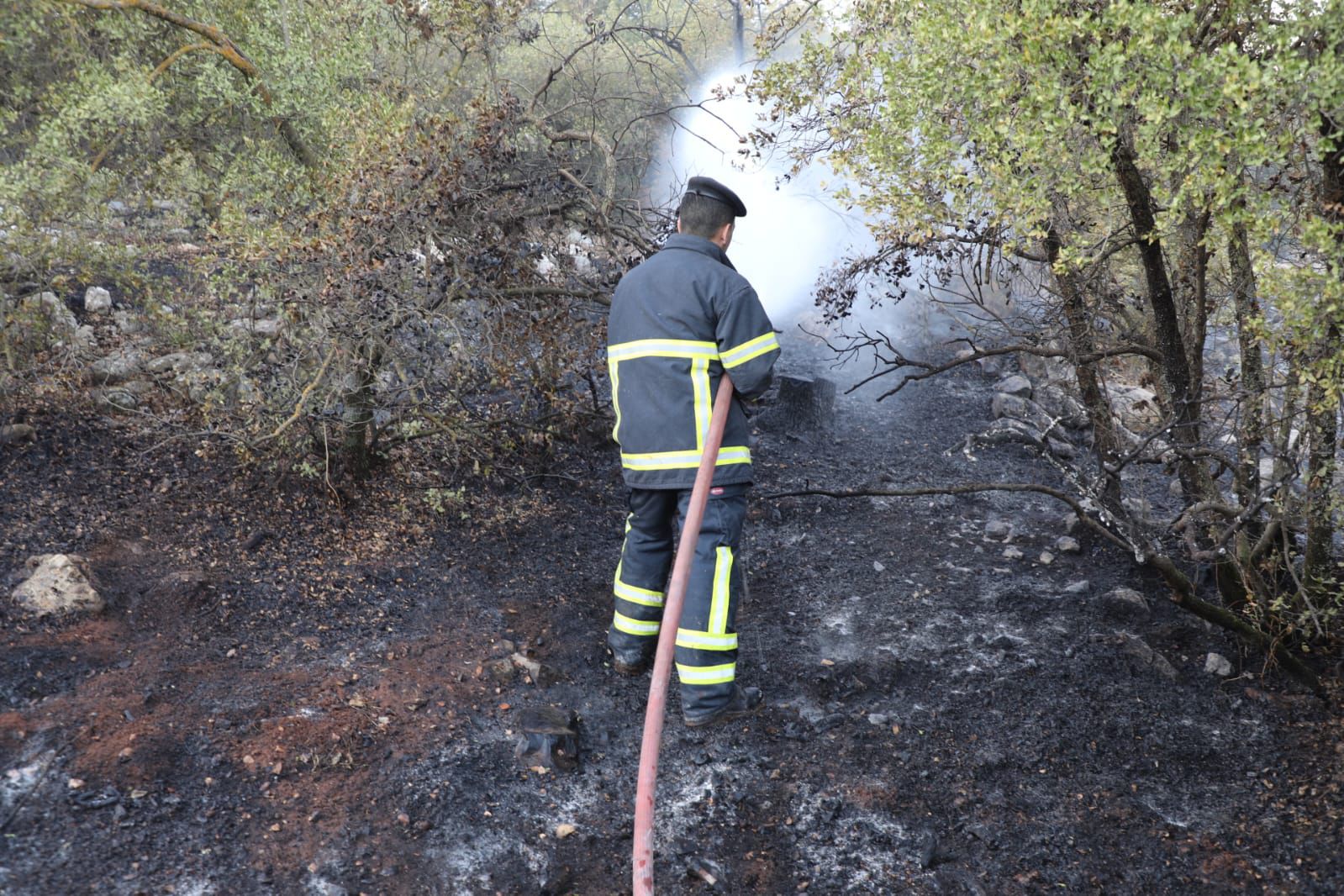 الدفاع المدني وسلاح الجو يخمدان الحريق في أحراش جرش