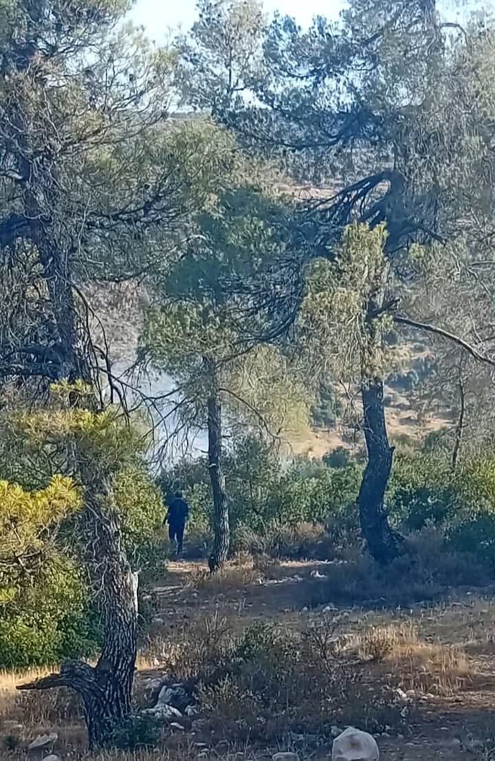 بدء عمليات التبريد لموقع حريق وديان الشام في جرش