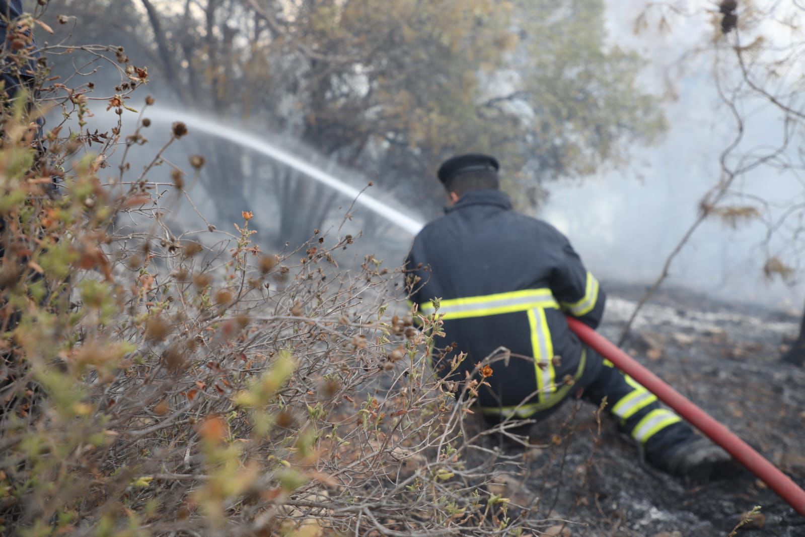 الدفاع المدني وسلاح الجو يخمدان الحريق في أحراش جرش