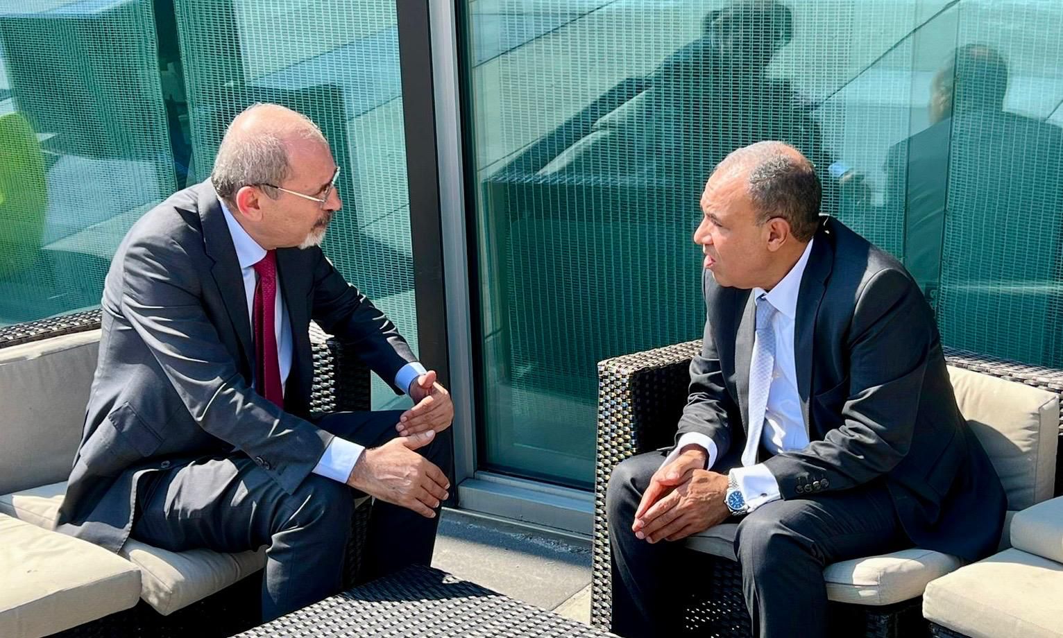 وزير الخارجية يؤكد أهمية مؤتمر حل الدولتين لدعم حقوق الشعب الفلسطيني