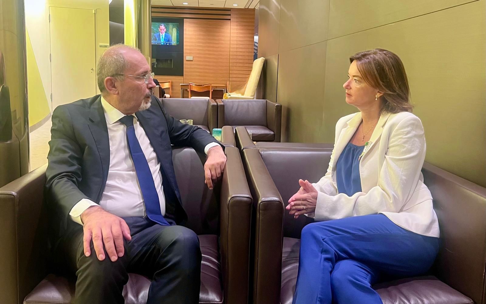 وزير الخارجية يؤكد أهمية مؤتمر حل الدولتين لدعم حقوق الشعب الفلسطيني