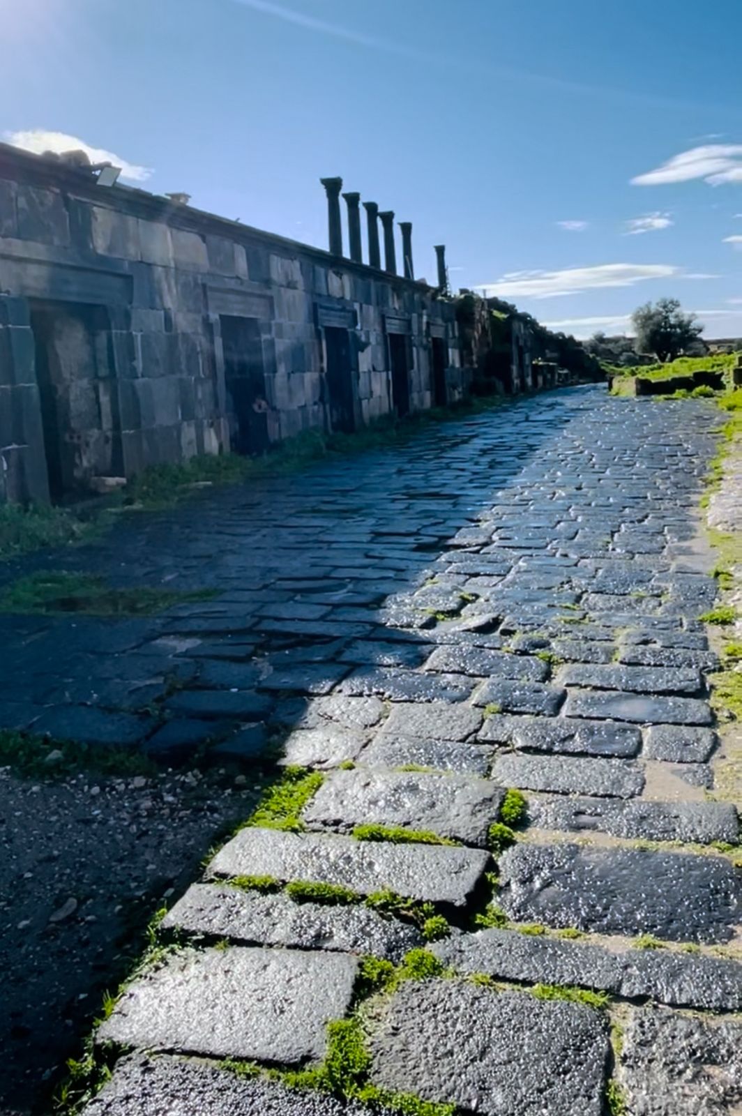 أسواق أم قيس القديمة.. ذاكرة تجارية وحضارية متجددة