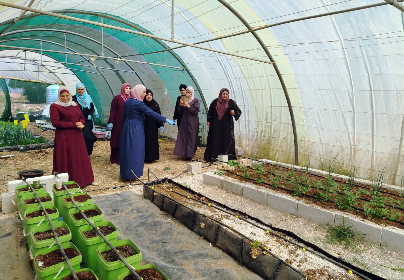 مدرسة حقلية خاصة بالزراعة المائية في إربد