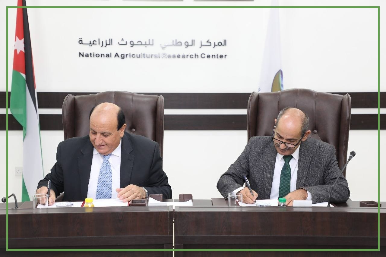 مذكرة تعاون بين المهندسين الزراعيين والبحوث الزراعية لتدريب وتأهيل حديثي التخرج