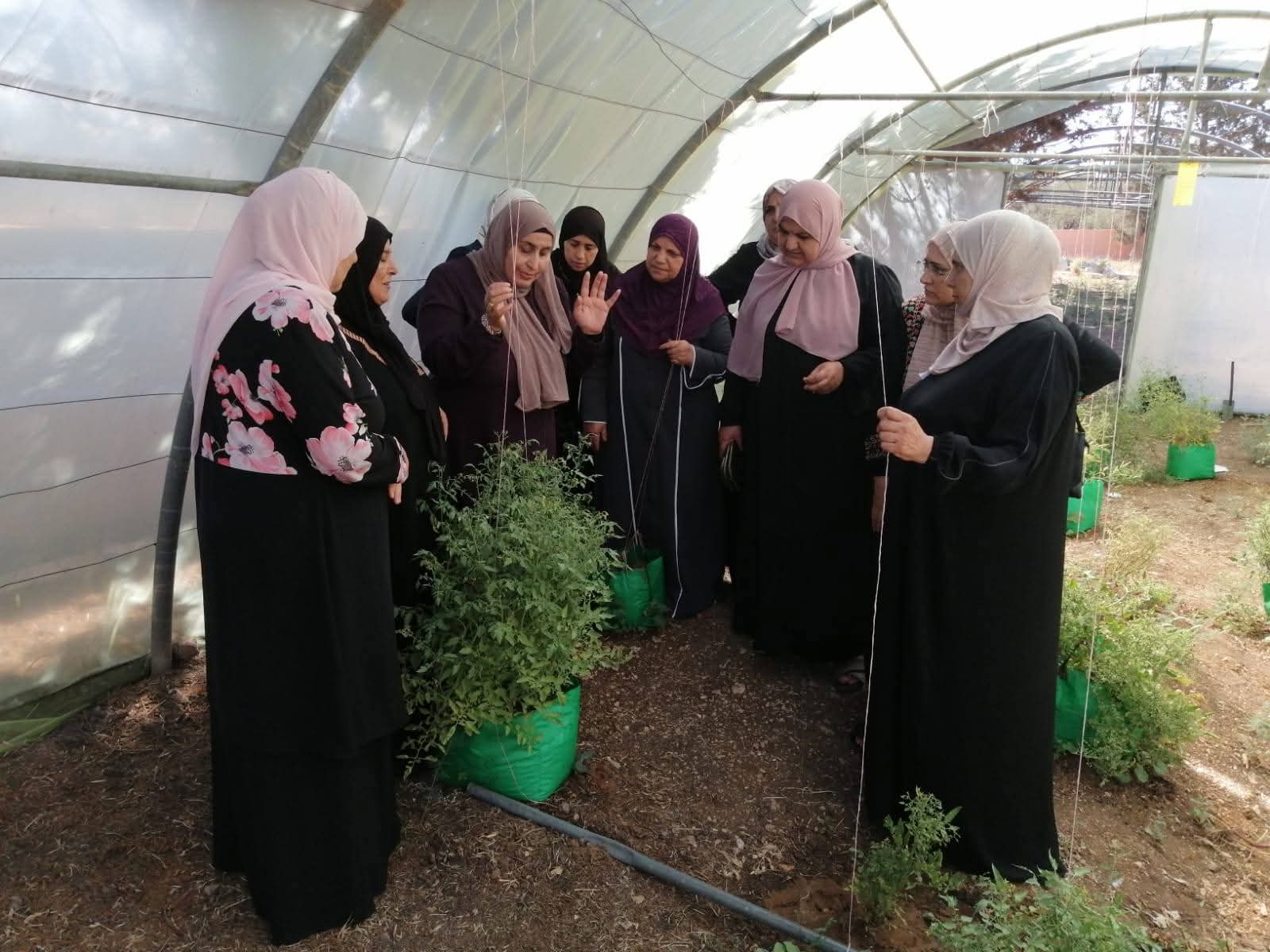 مدرسة حقلية للريفيات في زراعة الطيبة حول الزراعة المستدامة