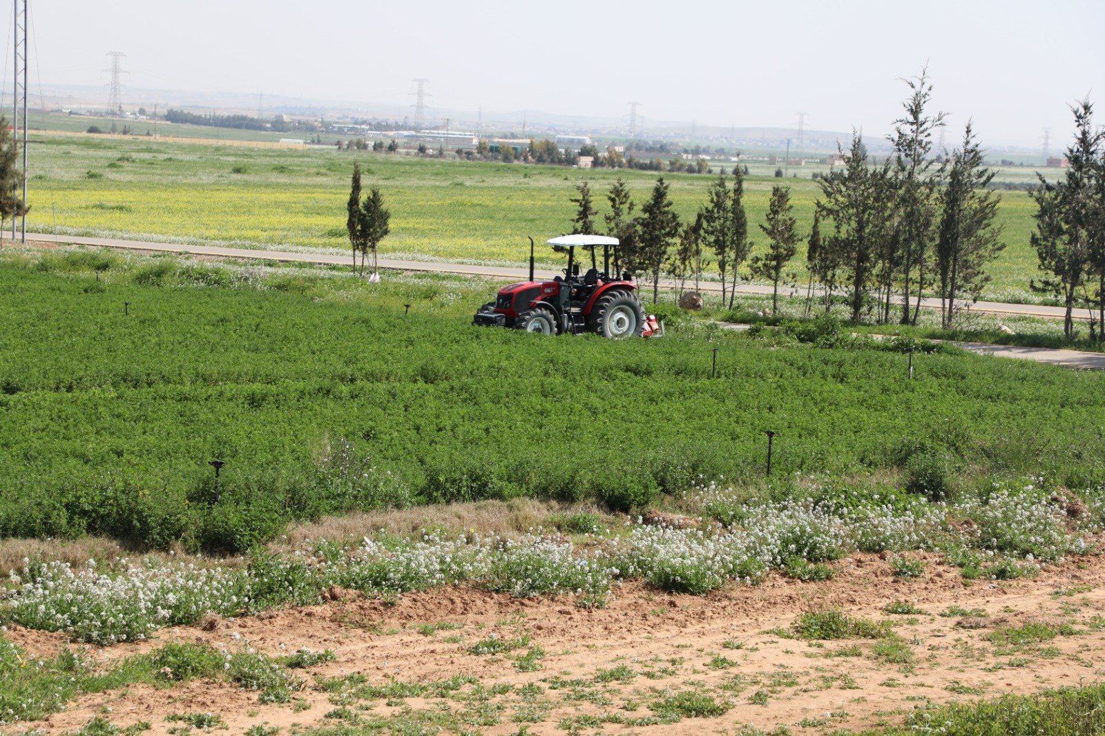 المياه: 197مليون متر مكعب مياه معالجة مستغلة من المزارعين