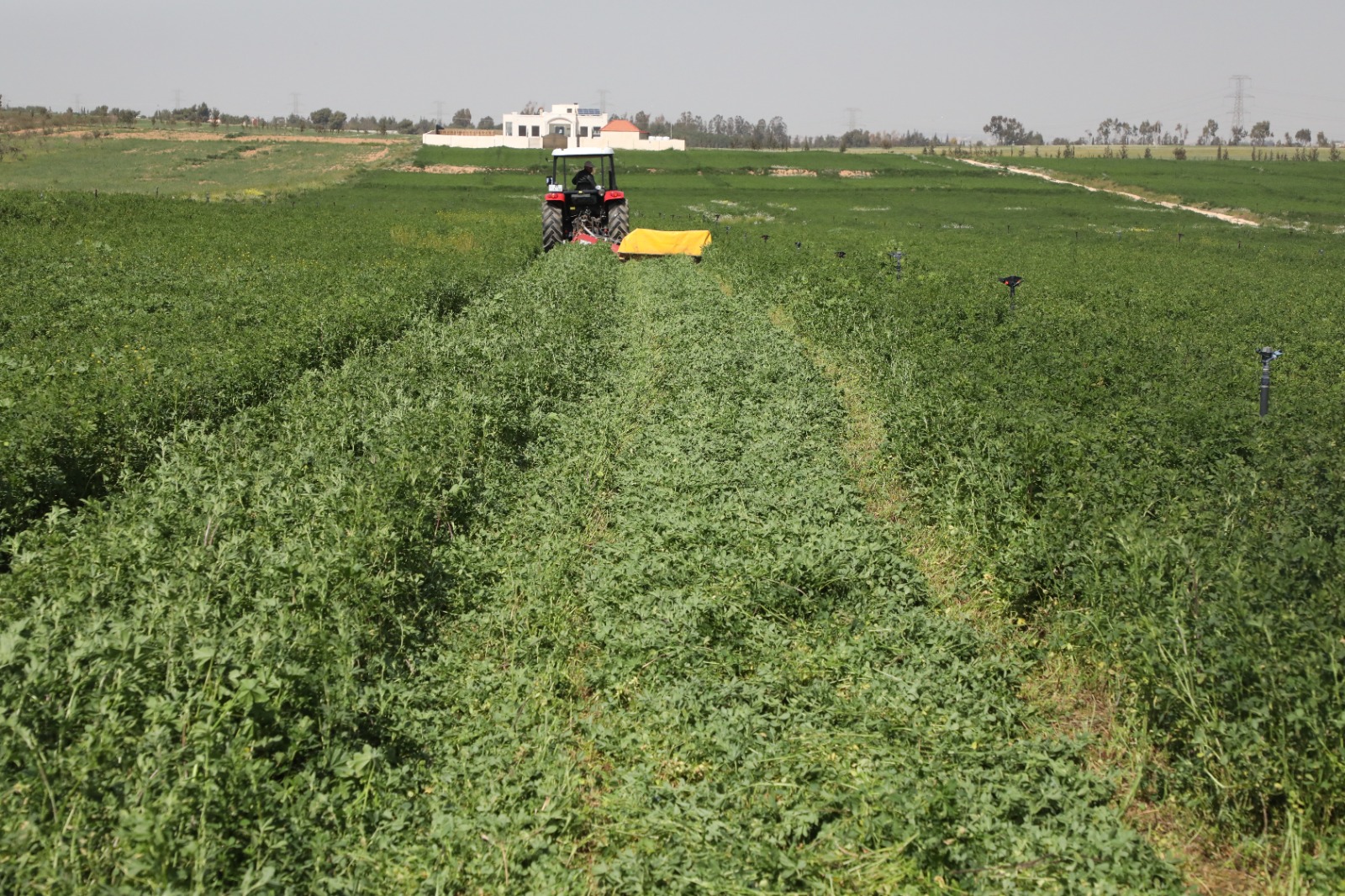 المياه: 197مليون متر مكعب مياه معالجة مستغلة من المزارعين