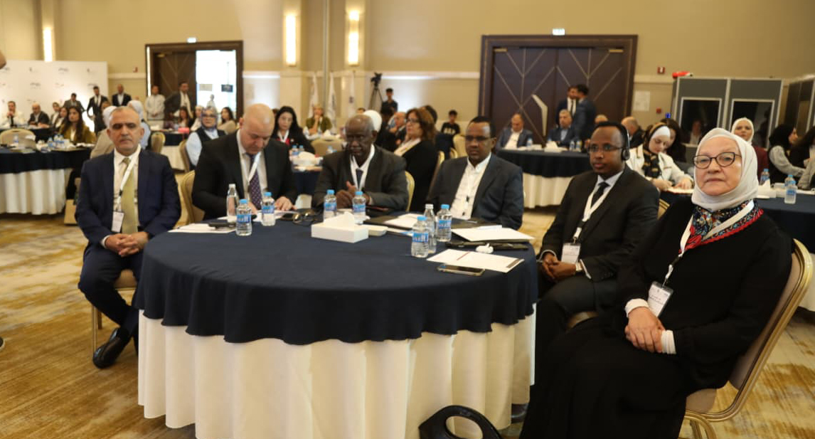 المعايطة: العملية الانتخابية ركيزة أساسية للشرعية السياسية 