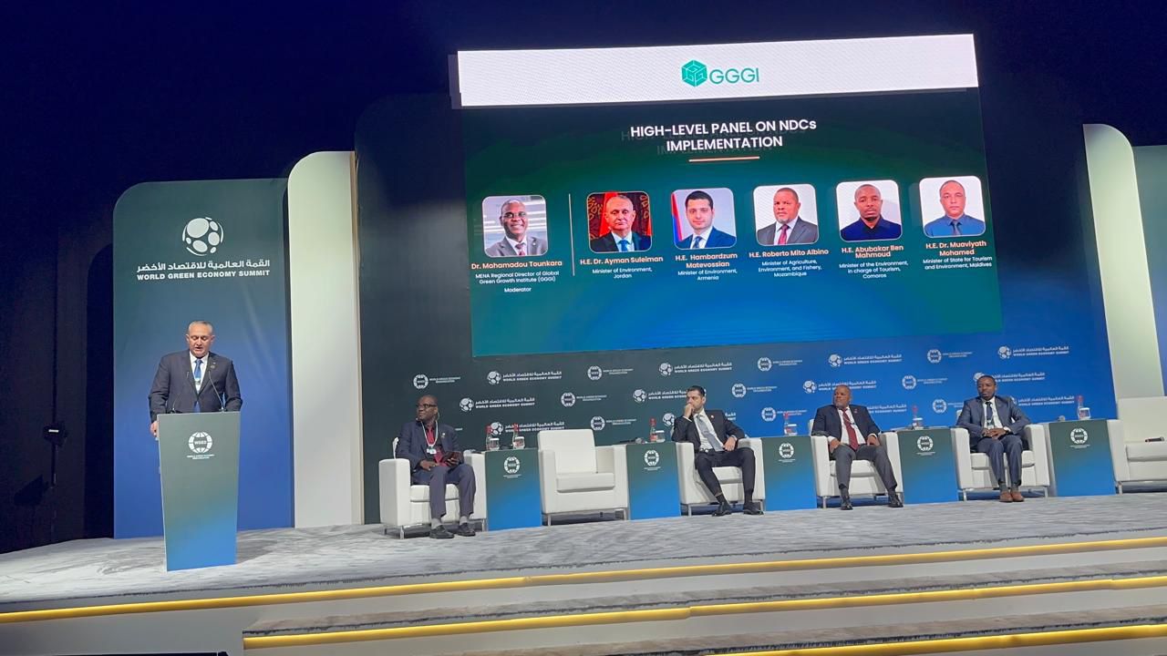 وزير البيئة يشارك في القمة العالمية للاقتصاد الأخضر بدبي