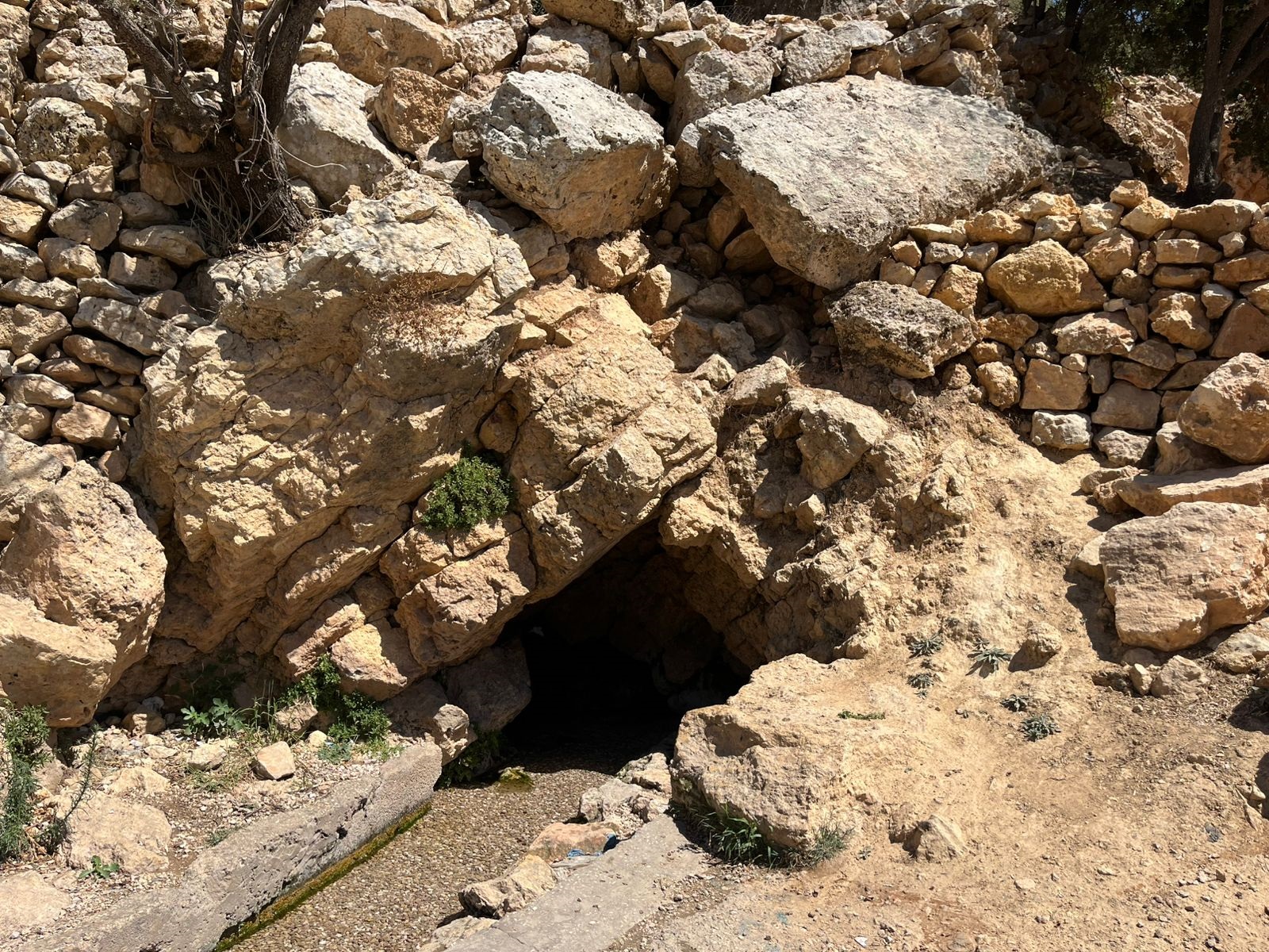 عين الزغدية... نبع الحياة وجمال الطبيعة في عجلون