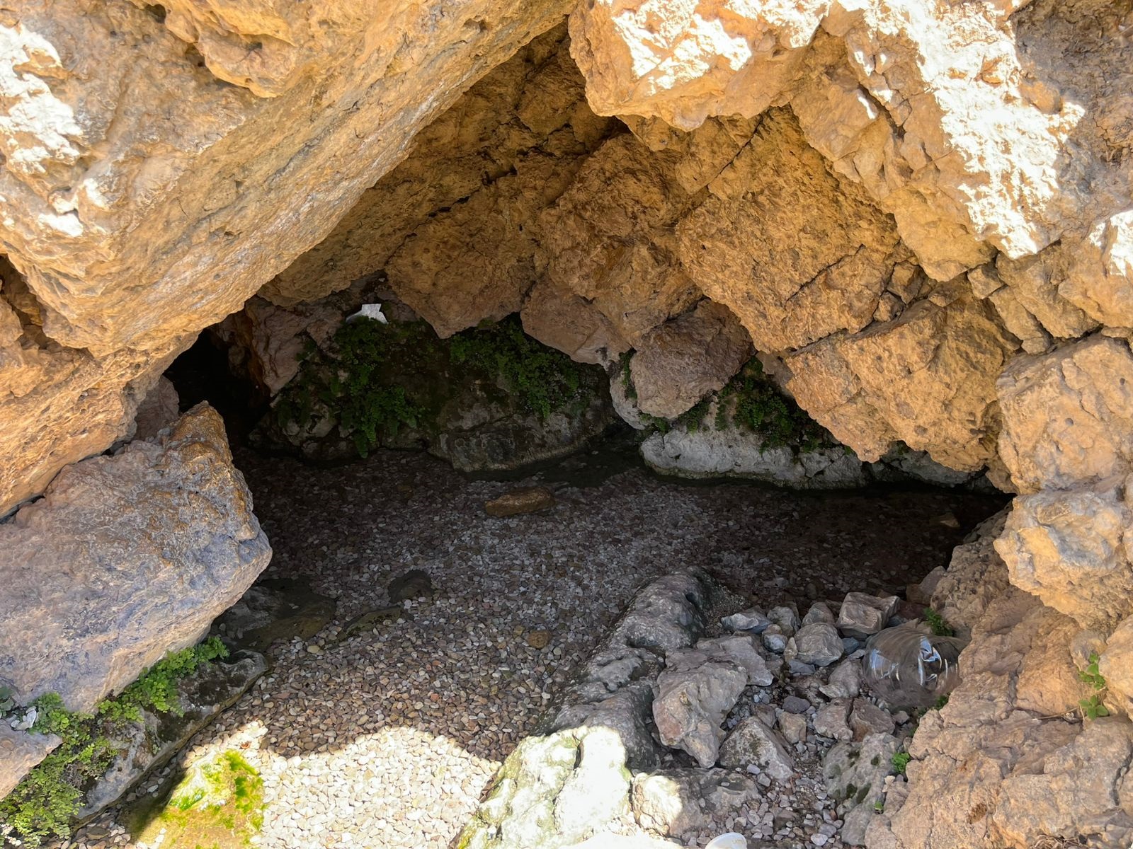 عين الزغدية... نبع الحياة وجمال الطبيعة في عجلون